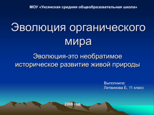 эволюция органического мира: основные направления