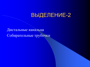 выделение-2 - PPt4WEB.ru