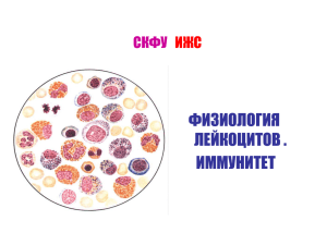Т-лимфоциты