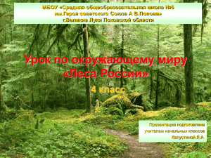 Урок по окружающему миру «Леса России»