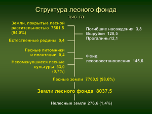 Слайды по структуре лесов Кировской области.