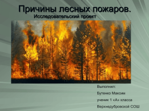 Причины лесных пожаров. Исследовательский проект Выполнил: Бутенко Максим