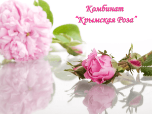 Слайд 1 - Крымская роза