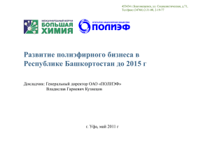 Развитие полиэфирного бизнеса в Республике Башкортостан до 2015 г Владислав Гариевич Кузнецов