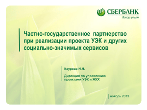 Частно-государственное партнерство при реализации проекта УЭК и других социально-значимых сервисов ноябрь 2013