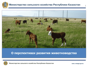О перспективах развития животноводства Министерство сельского хозяйства Республики Казахстан 1