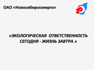 Доклад Сибирской энергитической компании
