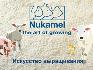 Презентация Nukamel