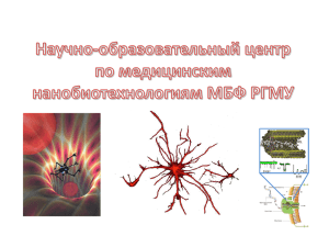 Научно-образовательный центр нанобиотехнологий в ПНР №1