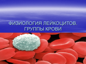 02 Физиология лейкоцитов_группы крови