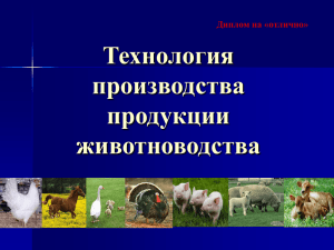 Технология производства продукции животноводства