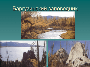 Баргузинский заповедник как составная часть природного