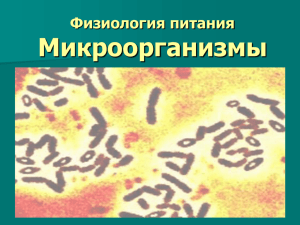 microorgan