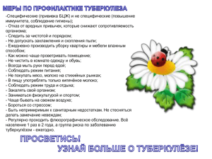 Буклет "Белые цветы против туберкулеза"