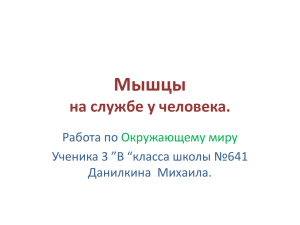 Мышцы - PPt4WEB.ru