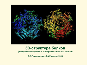 структура белков 3D- (введение во введение и повторение школьных знаний) А.Б.Рахманинова, Д.А.Равчеев, 2009
