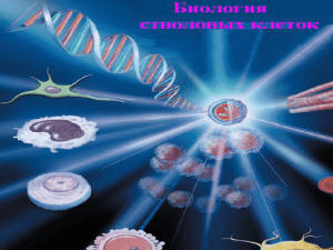 Биология стволовых клеток