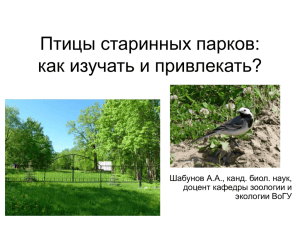 Шабунов_Птицы старинных парков