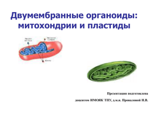 Двумембранные органоиды