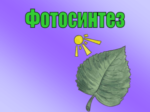 Фотосинтез, 10 классуч.АвтушенкоЛ.Н.