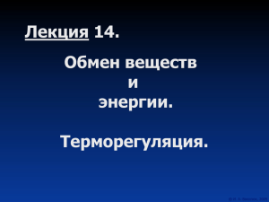 Лекция 14. Обмен веществ и энергии. Терморегуляция.