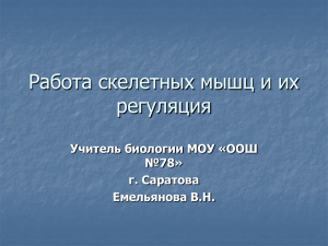 Работа скелетных мышц и их регуляция Учитель биологии МОУ «ООШ №78»