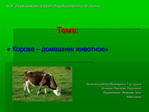 Тема: « Корова – домашнее животное»