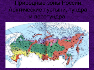 природные зоны россии а.п