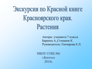 Экскурсия по Красной книге Красноярского края. Растения