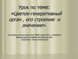 « еме: Цветок-гeнeративный орган , eго строeние и