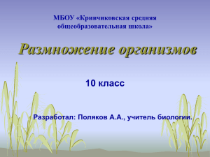 Размножение организмов 10 класс МБОУ «Кривчиковская средняя общеобразовательная школа»