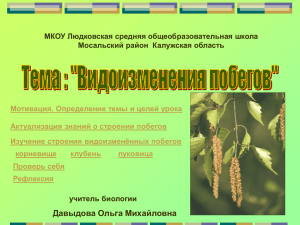 МКОУ Людковская средняя общеобразовательная школа Мосальский район  Калужская область