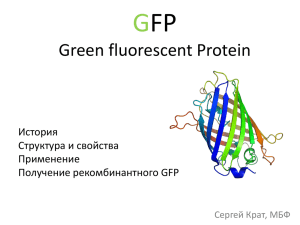 GFP (Green fluorescent Protein) – История. Структура и свойства