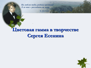 Ecenin_konkyrsnaya_rabota