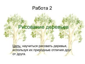Рисование деревьев Работа 2 Цель: научиться рисовать деревья, используя их природные отличия друг