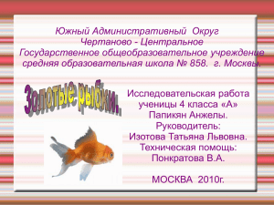 Золотые рыбки - art.ioso.ru, 2009