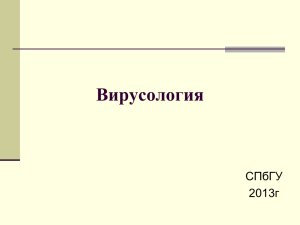 Вирусология СПбГУ 2013г