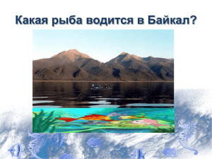 Какая_рыба_водится_в_озере_Байкал