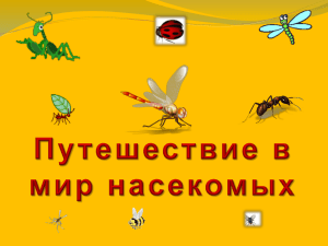 Путешествие в мир насекомых
