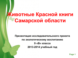 Животные Красной книги Самарской области Презентация исследовательского проекта по экологическому воспитанию