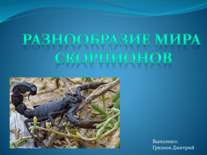 Скорпионы Грязнов
