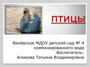 птицы Венёвское МДОУ детский сад № 4 комбинированного вида Воспитатель: