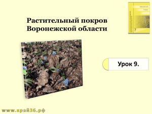Растительный покров Воронежской области