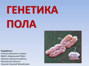 Х-хромосомой
