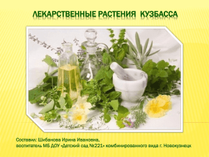 Лекарственные растения Кузбасса Составил: Шибанова Ирина