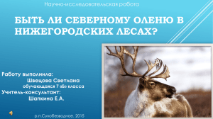 Быть ли северному оленю в нижегородских лесах?