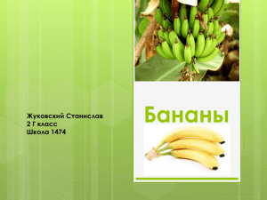 Бананы_презентация_Жуковский_Стас