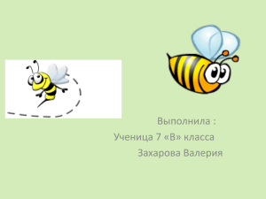 тела пчелы - PPt4WEB.ru
