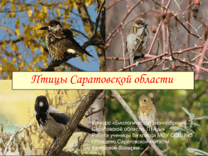 Птицы Саратовской области Конкурс «Биологическое