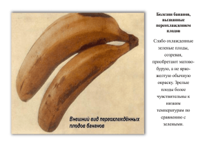 Болезни бананов, вызванные переохлаждением